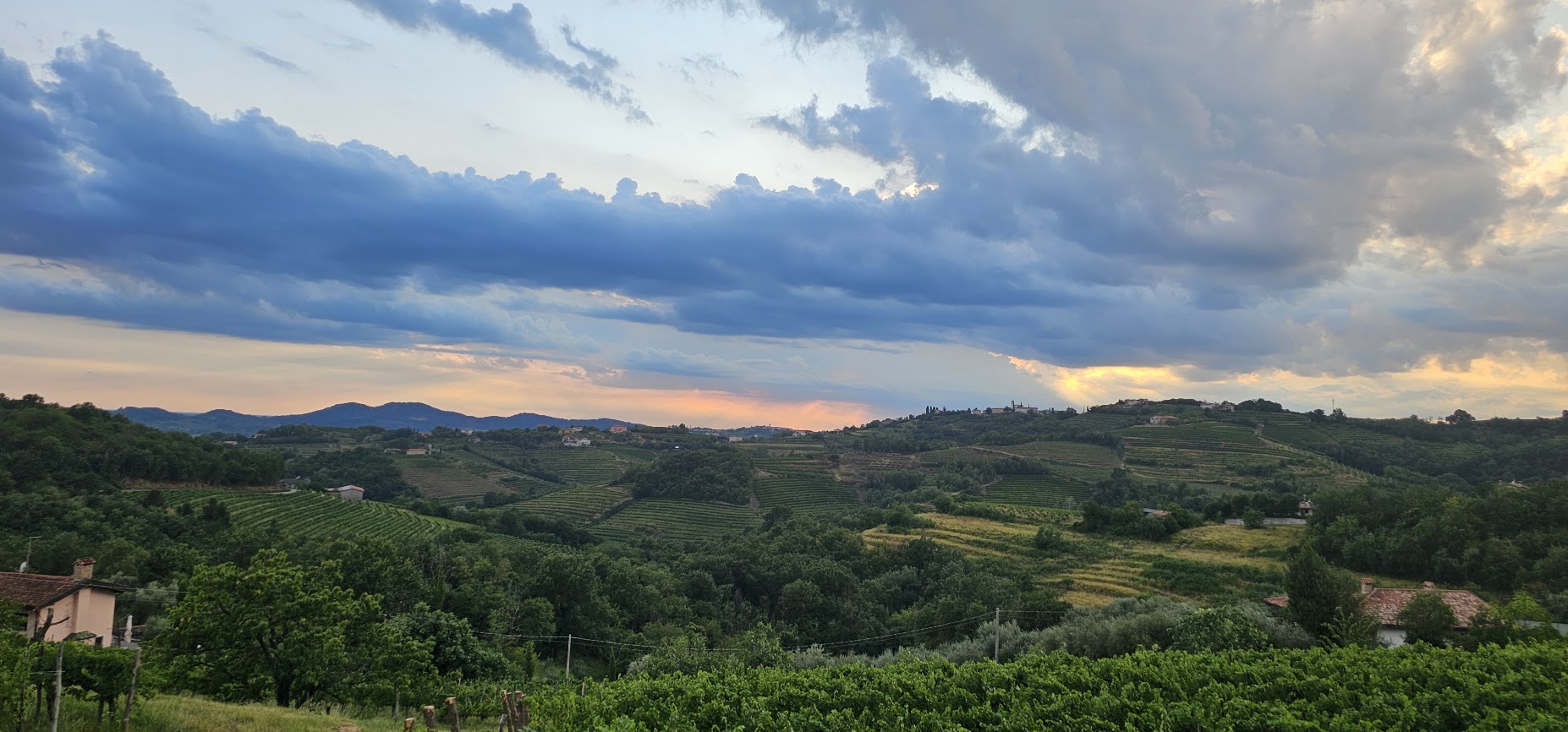 Le colline del Collio al tramonto
