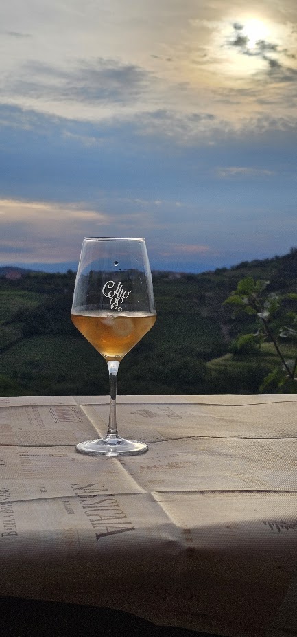 Calice di vino del Collio